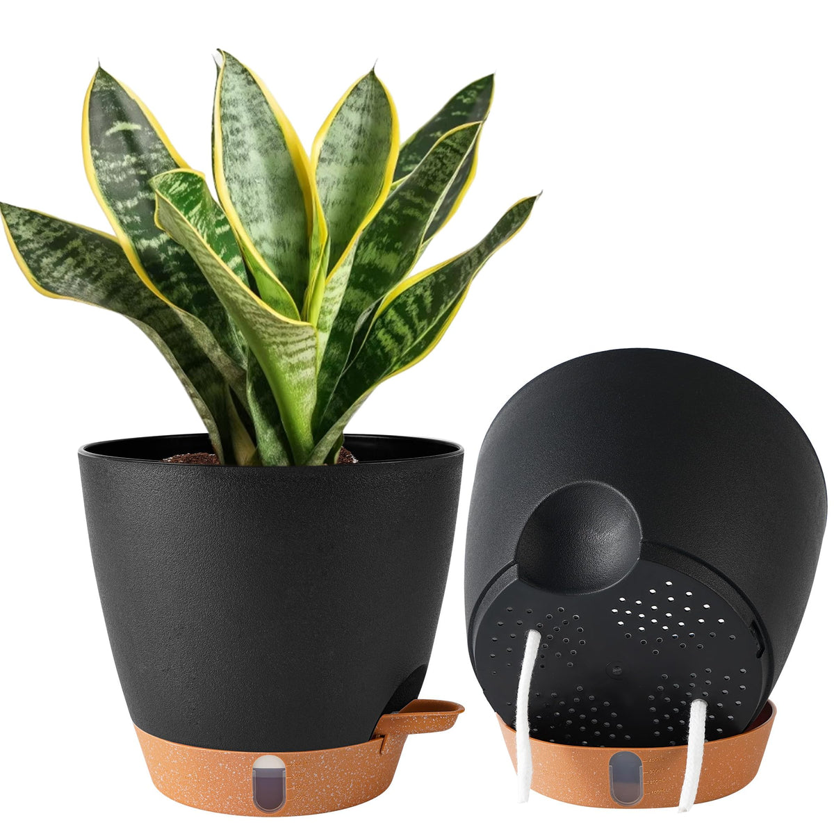 Fielda 8-inch self-watering pot with wick system for low-maintenance indoor plants.