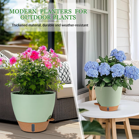 Fielda decorative five-size set for cohesive plant displays