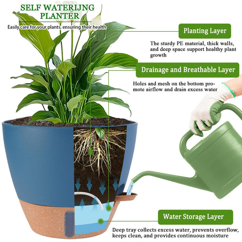 Fielda detachable tray for easy cleaning and proper drainage management.