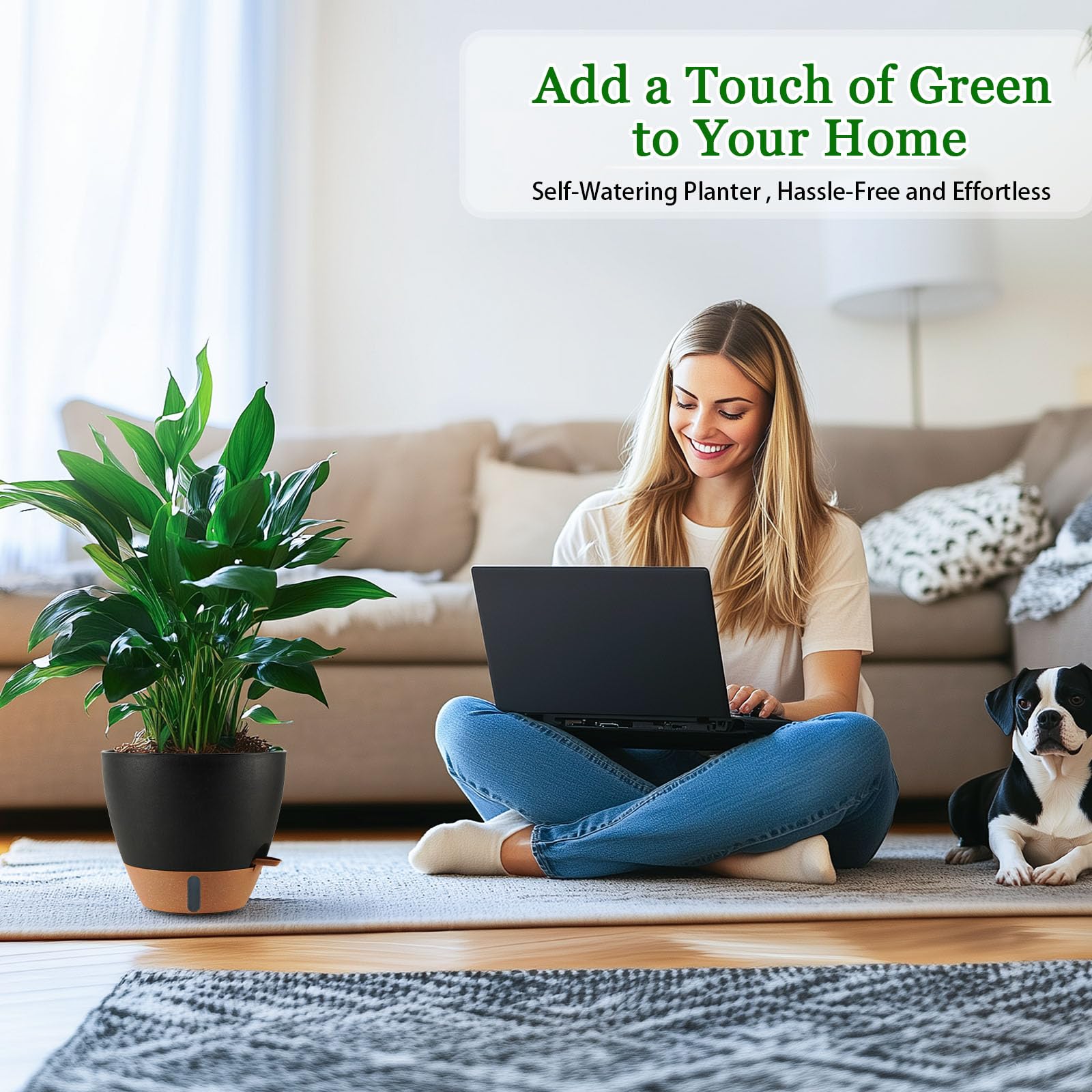 Fielda planter with detachable tray for simple watering and drainage.