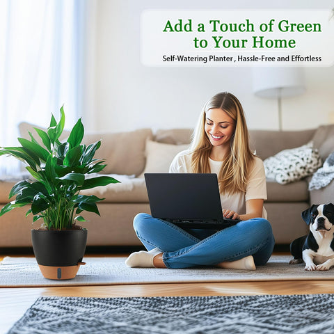 Fielda planter with detachable tray for simple watering and drainage.