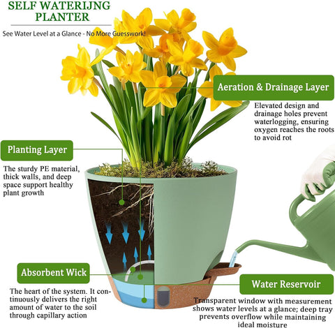 Fielda drainage saucer keeps surfaces clean and drip-free