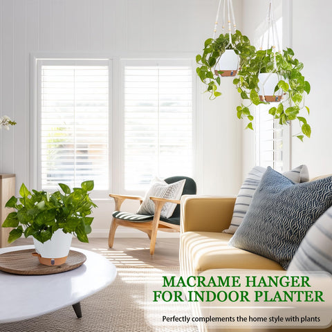 Fielda durable plastic planter features 4mm walls for longevity