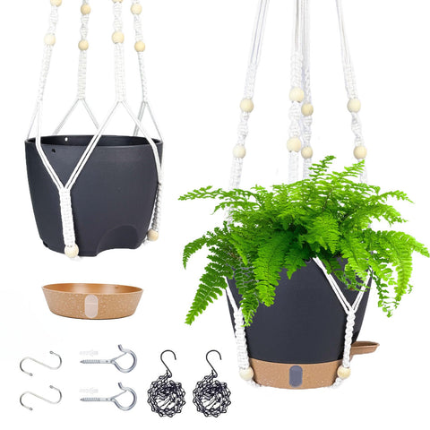 Fielda self-watering planter with water window for quick moisture checks.