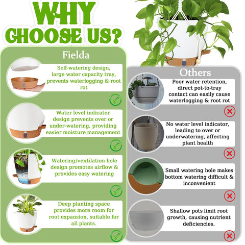 Fielda versatile indoor/outdoor use supports various plant setups