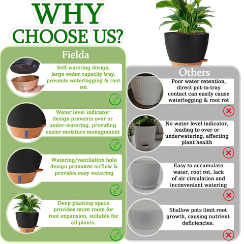 Fielda planter suitable for indoor and outdoor use across desks and balconies.