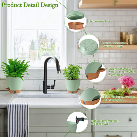 Fielda complete packaging includes pots, trays, and saucers