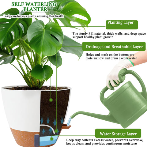 Fielda sizing guide helps pair plants with 8-10-12 inch pots