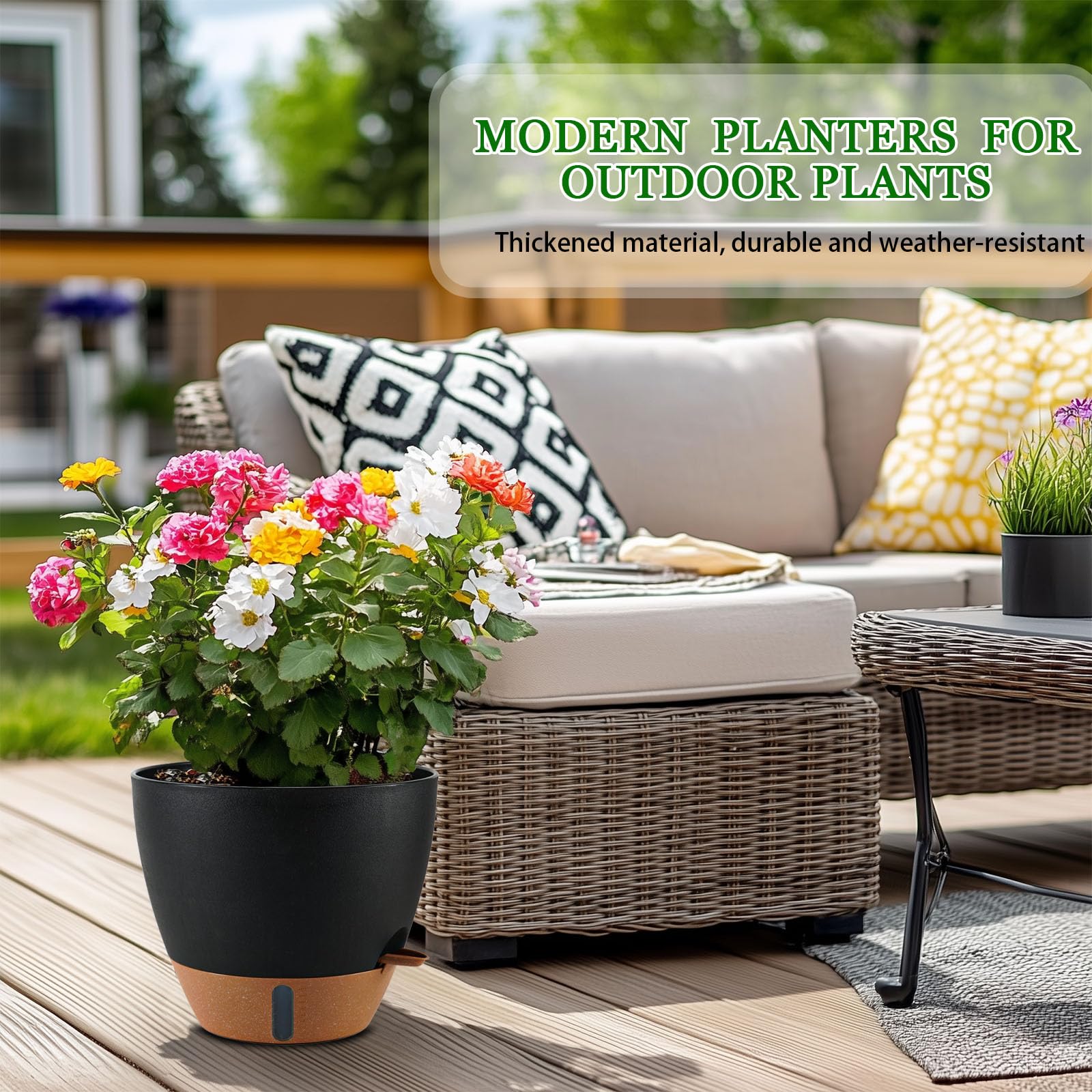 Fielda recommends 12–18 inch plants like pothos, ZZ plant, and monstera.