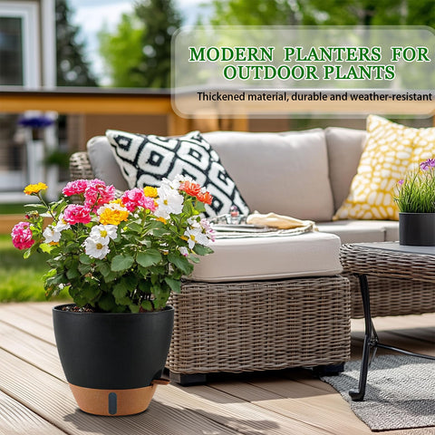 Fielda recommends 12–18 inch plants like pothos, ZZ plant, and monstera.