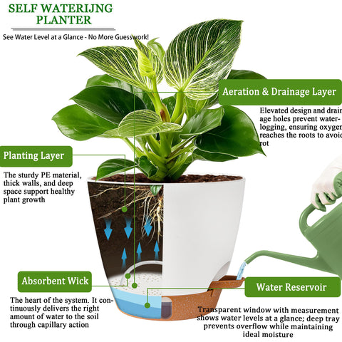 Fielda removable leak-proof saucer accompanying each pot.