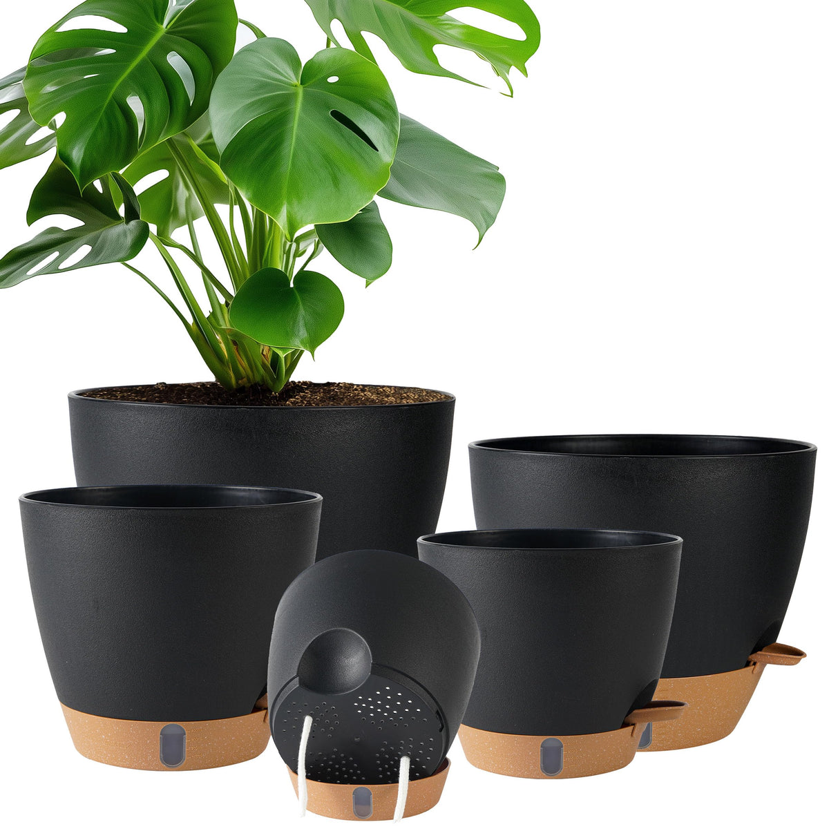 Fielda self-watering 10-inch pot with water level window for easy moisture control