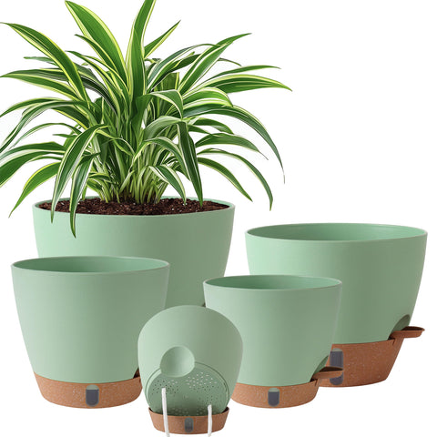 Fielda self-watering 10-inch pot with water level window for easy moisture checks