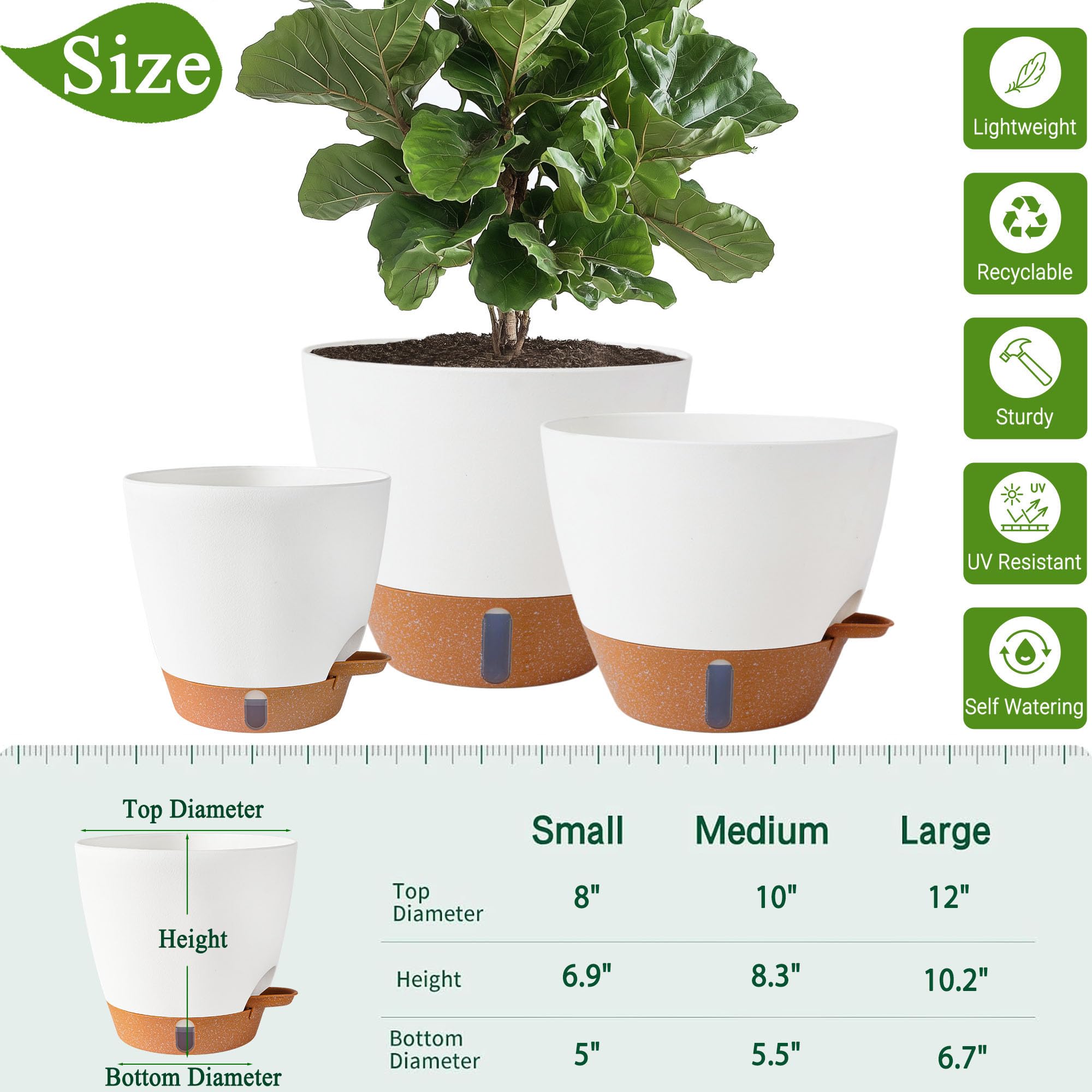 Fielda removable saucer tray facilitates mess-free indoor watering