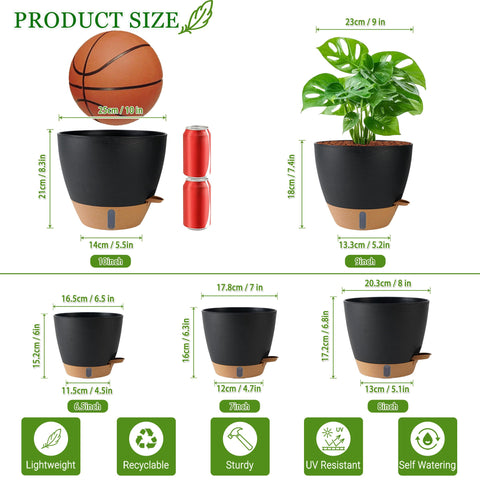 Fielda 8-inch planter with clear reservoir helps prevent underwatering