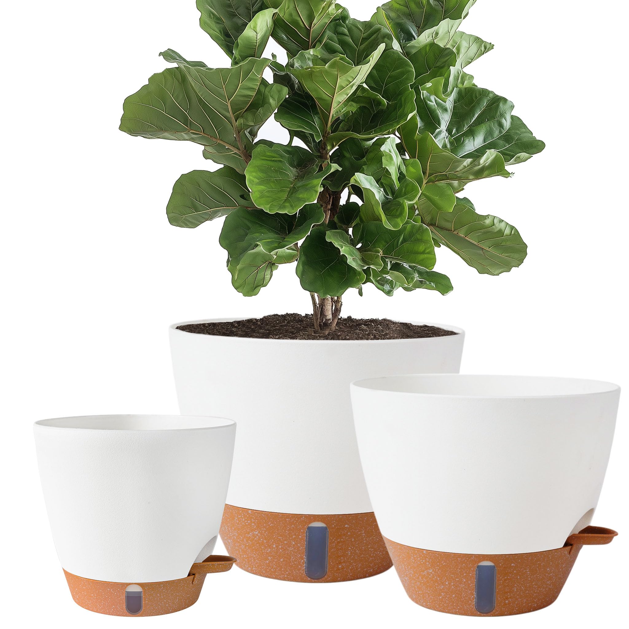 Fielda self-watering pot with water level window for monitoring hydration