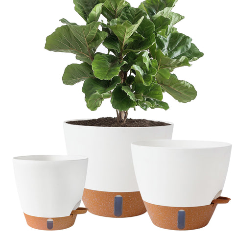 Fielda self-watering pot with water level window for monitoring hydration