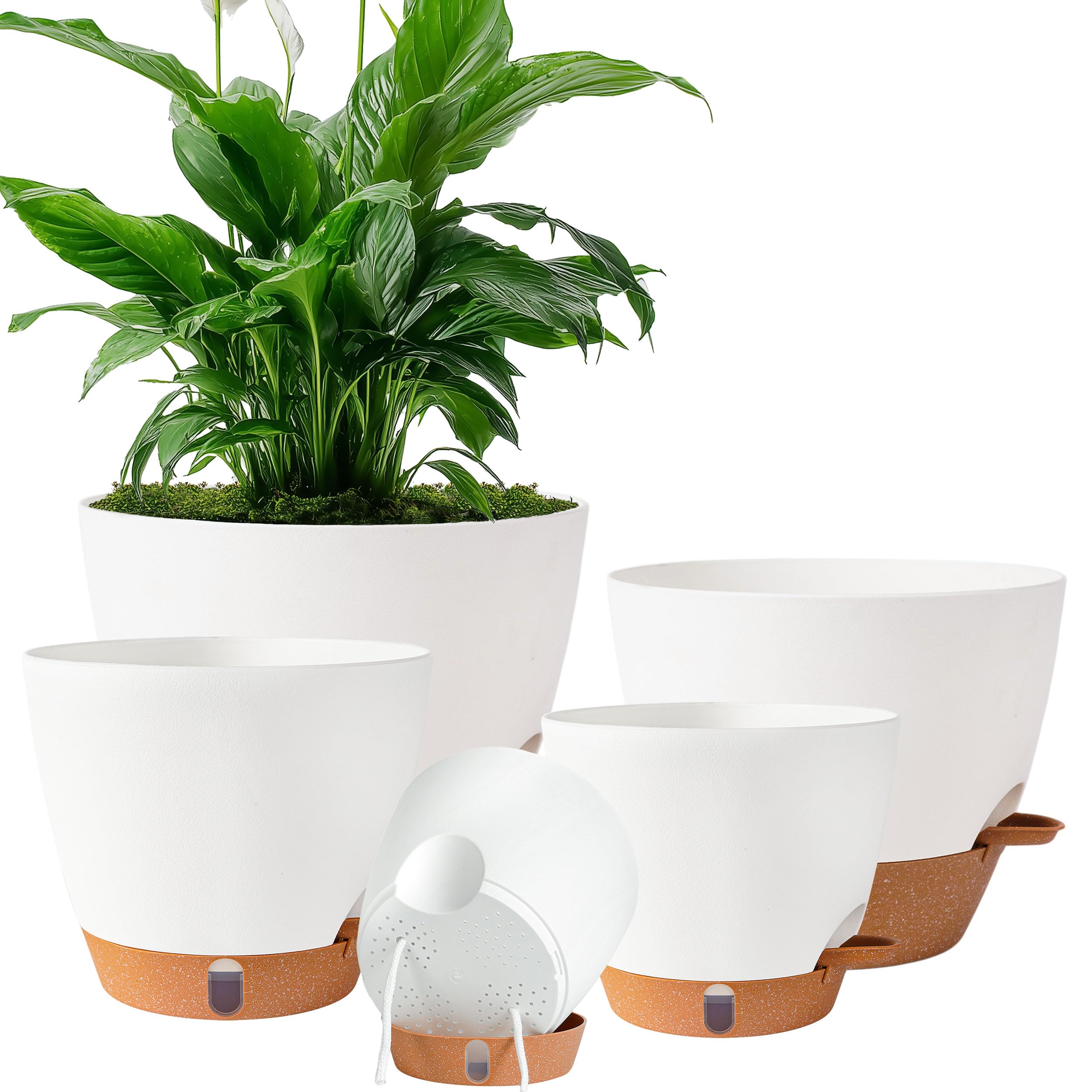 Fielda 10-inch self-watering pot with water level window for easy moisture monitoring.