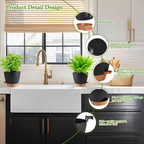 Fielda 5-inch compact pot ideal for desktops and shelves.