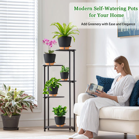 Fielda 6-inch pot with detachable saucer tray for mess-free care.