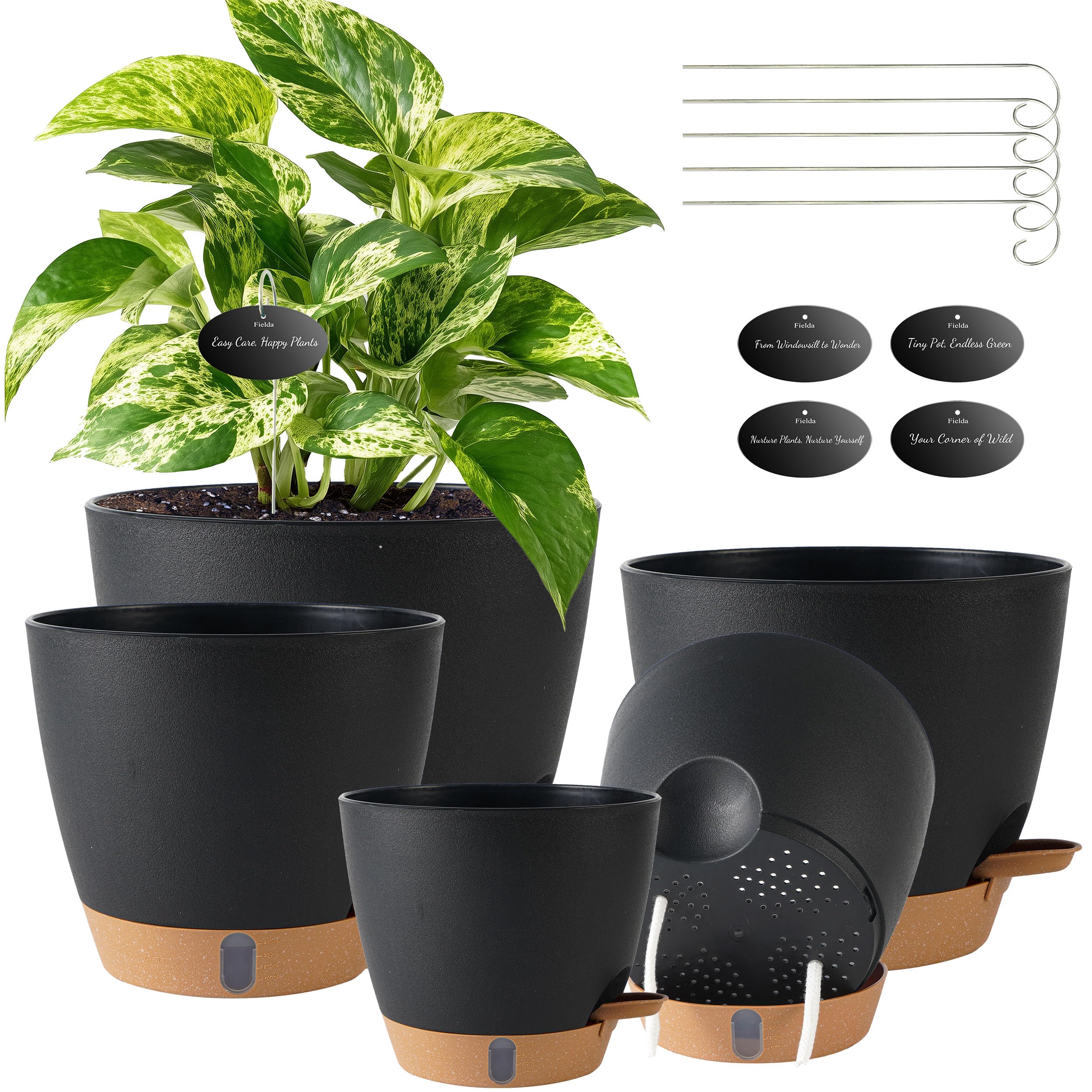 Fielda self-watering pot 8-inch with water level window for hydration monitoring.