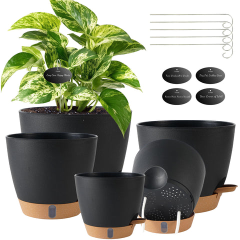 Fielda self-watering pot 8-inch with water level window for hydration monitoring.