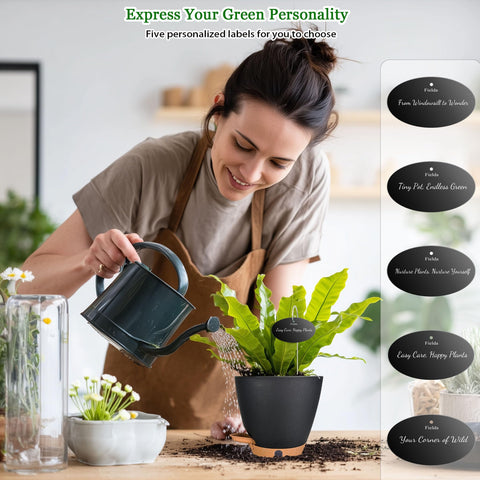 Fielda black self-watering pot with modern, versatile design.