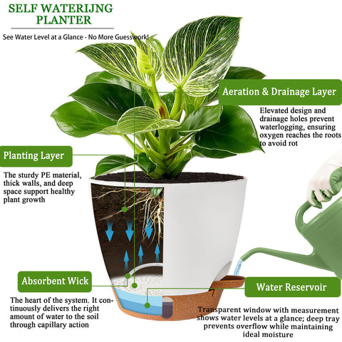 Fielda durable plastic pot designed for indoor and outdoor use.