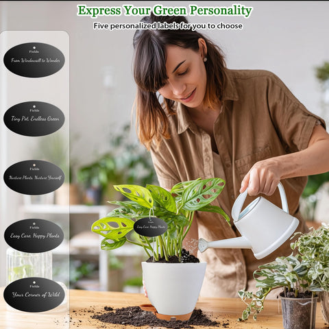 Fielda self-watering pot helps manage plant care during trips.