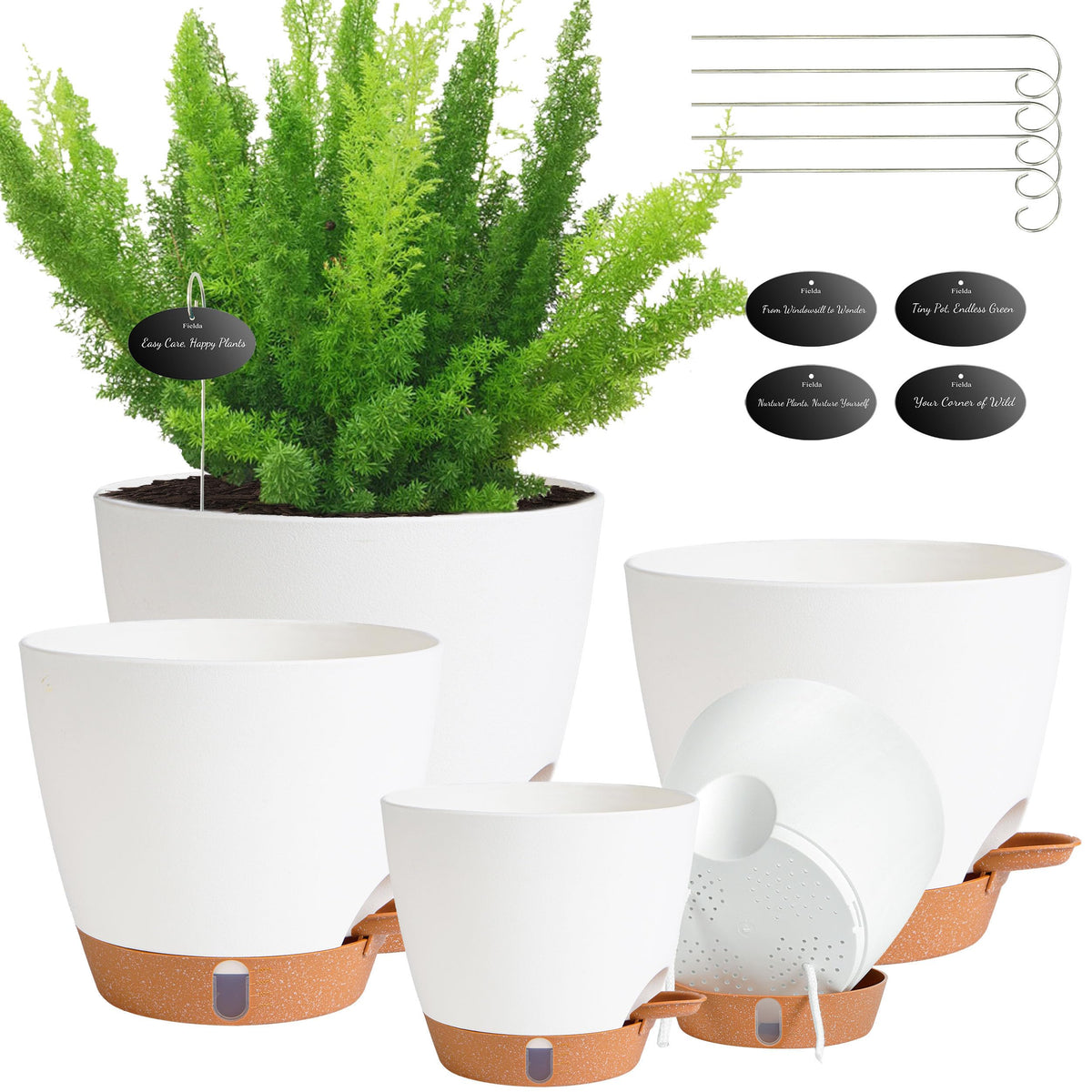 Fielda self-watering pot with visual indicator shows soil moisture at a glance.