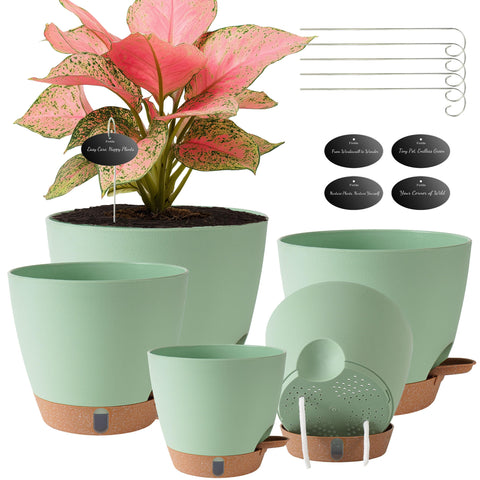 Fielda self-watering pot with visual indicator shows moisture level for easy care