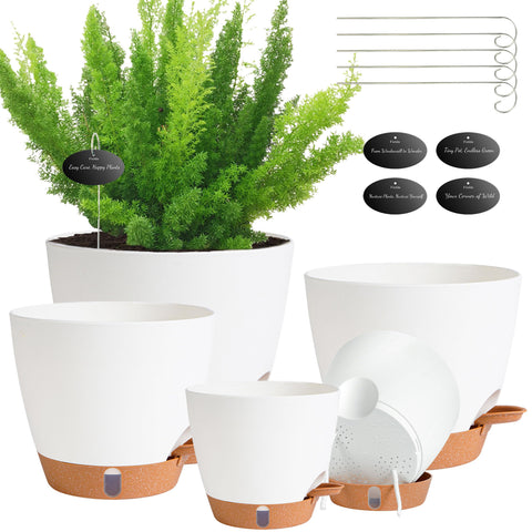 Fielda self-watering pot with visual indicator shows soil moisture at a glance.
