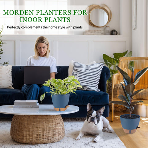 Fielda 9-inch navy blue pot promotes balanced hydration for thriving houseplants