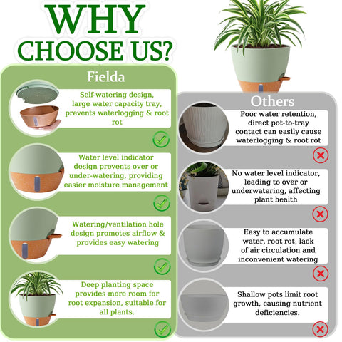 Fielda size guide for 8 10 12 inch pots helps pairing plants and pots