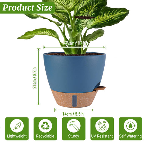 Fielda stable base keeps tall plants secure on shelves and patios.