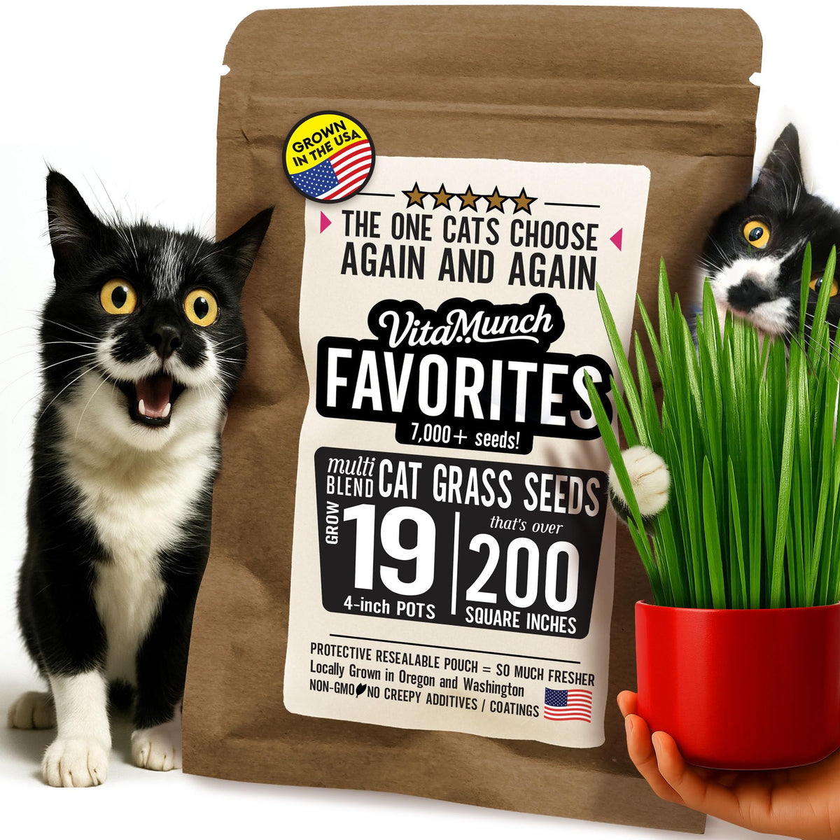 Fiend Cat Grass Seed Favorites pots ready to sprout for indoor cats, fast growth potential.