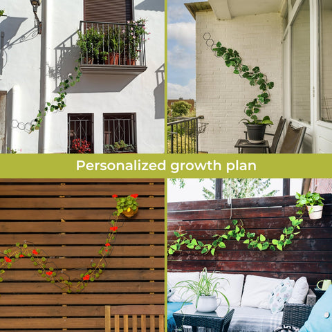 Filda Chain Trellis elegant, modern design enhances home or garden aesthetics.