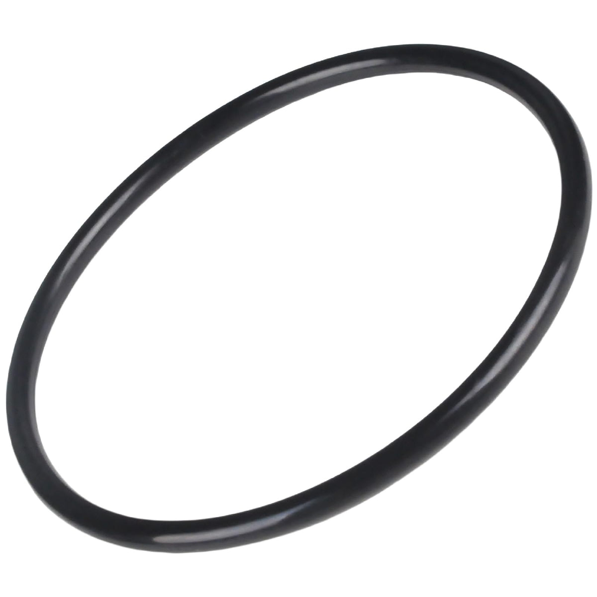 Filloman CXFHR1001 O-ring close-up showing durable sealing for filter heads
