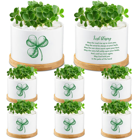 FillTouch mini pot with ceramic clover, ideal for small desk succulents.