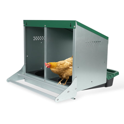 Filterhualv chicken nesting box front view with two holes for easy egg collection