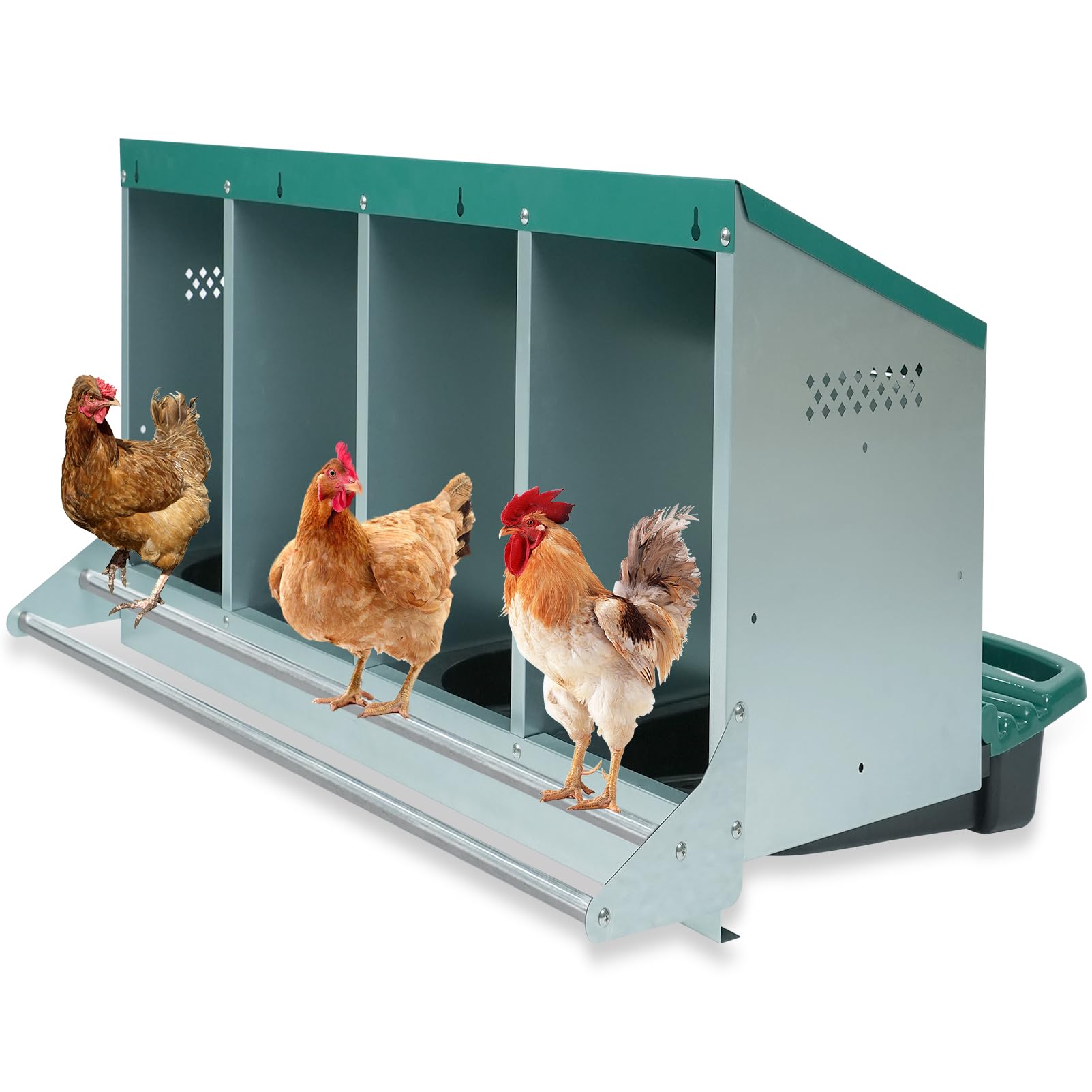 Filterhualv chicken nesting box front view with roll-away tray for clean egg collection.
