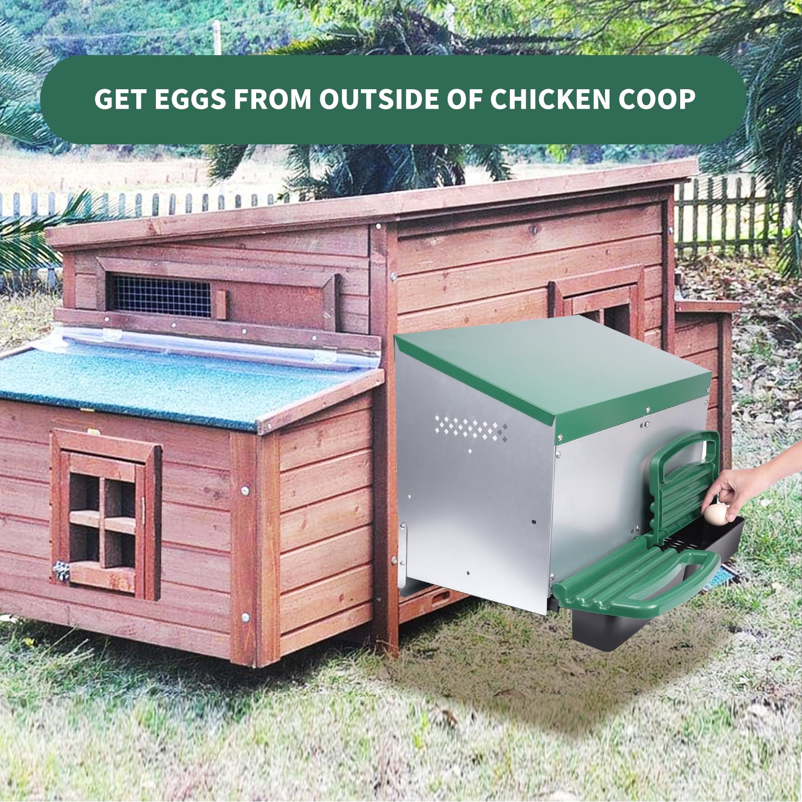 Filterhualv removable egg tray being pulled for easy cleaning
