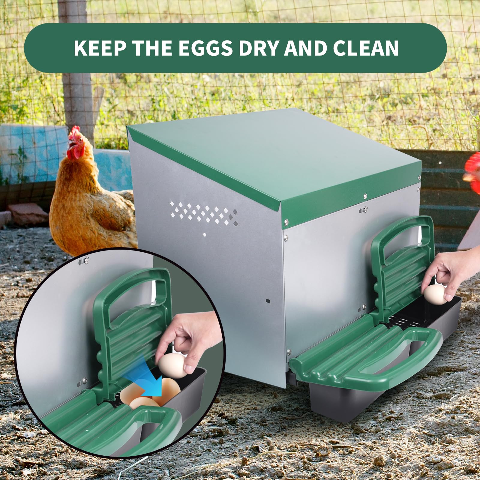 Filterhualv nest box roll-away tray green showing clean eggs ready for collection