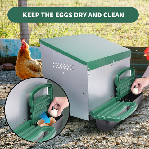Filterhualv nest box roll-away tray green showing clean eggs ready for collection