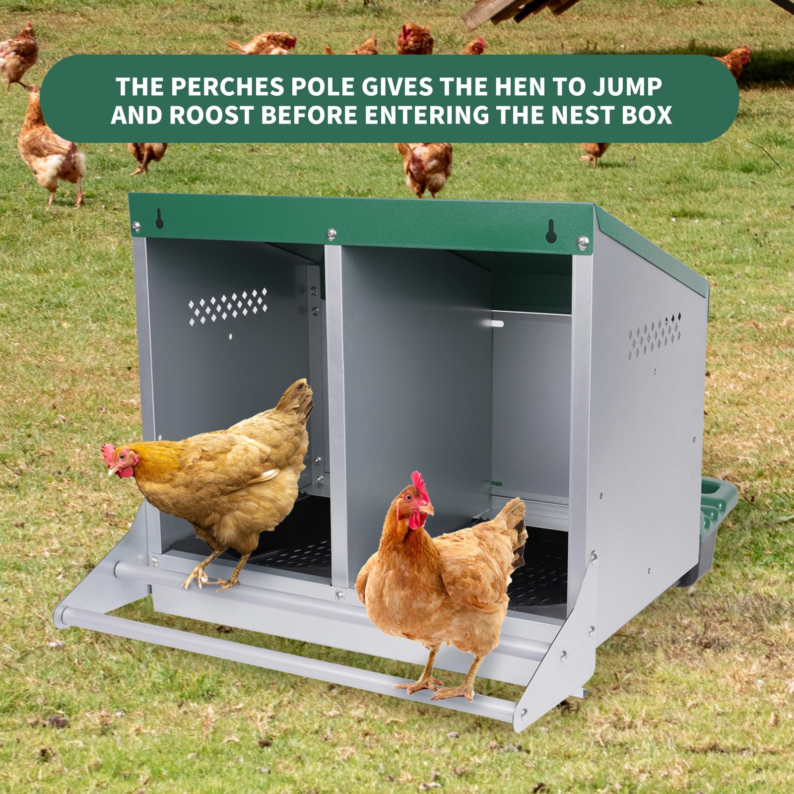Filterhualv chicken nesting box interior with two compartments for private laying