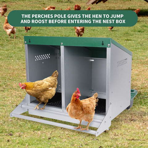 Filterhualv chicken nesting box interior with two compartments for private laying