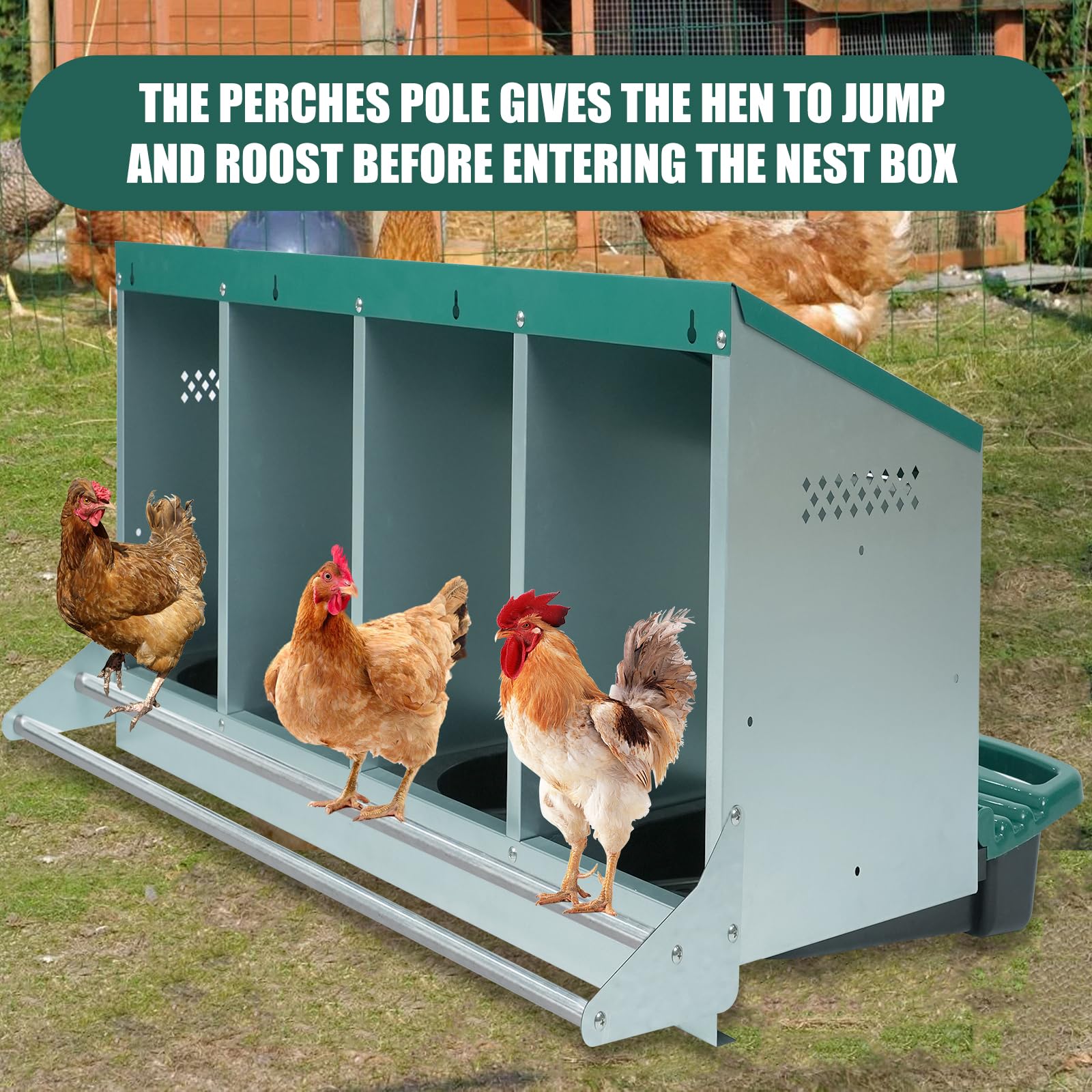 Filterhualv metal nesting box interior shows two private compartments for comfort.