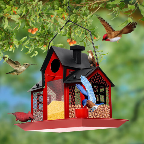 FIMOFIDRE bluebird-friendly feeder for easy viewing from windows