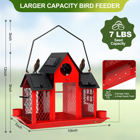 Red cardinal-friendly feeder attracts bright finches and bluebirds