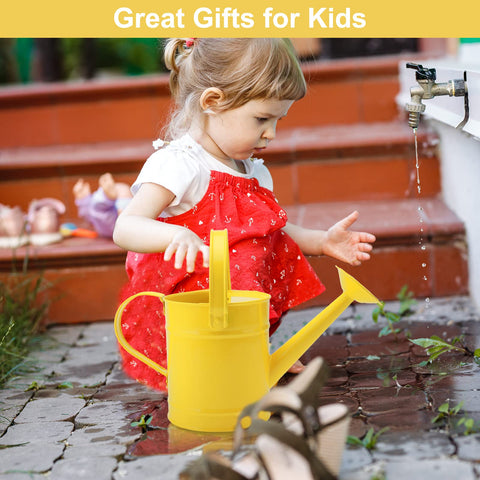 Finderomend iron art watering can for balcony planters and hanging baskets.